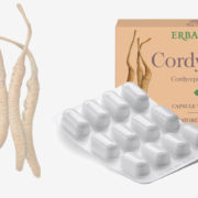 Cordyceps… dal fungo “Caterpillar” l’attività tonica che giova al benessere!