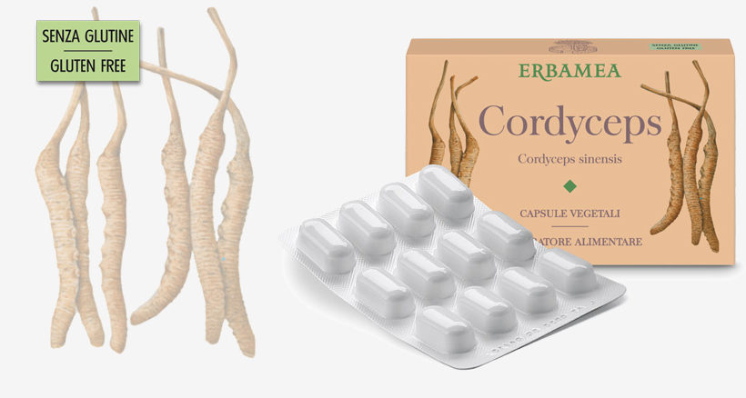 Cordyceps… dal fungo “Caterpillar” l’attività tonica che giova al benessere!